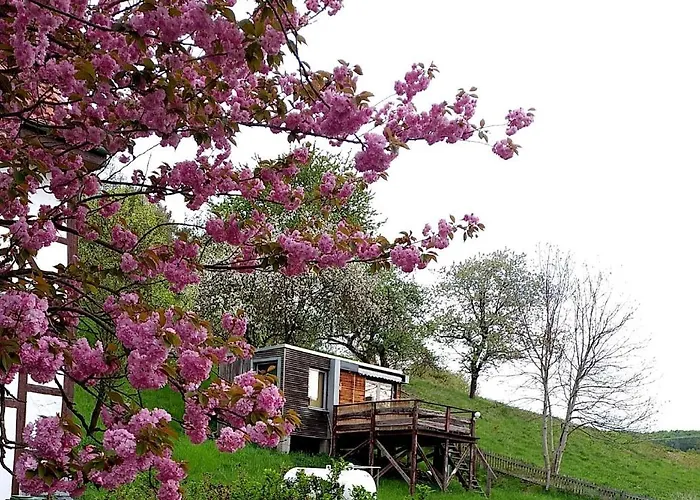 Tiny House Mit Klima Und Heizung, In Idyllischer Ortsrandlage Iba